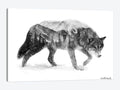 Black & White Wolf Canvas Art N422