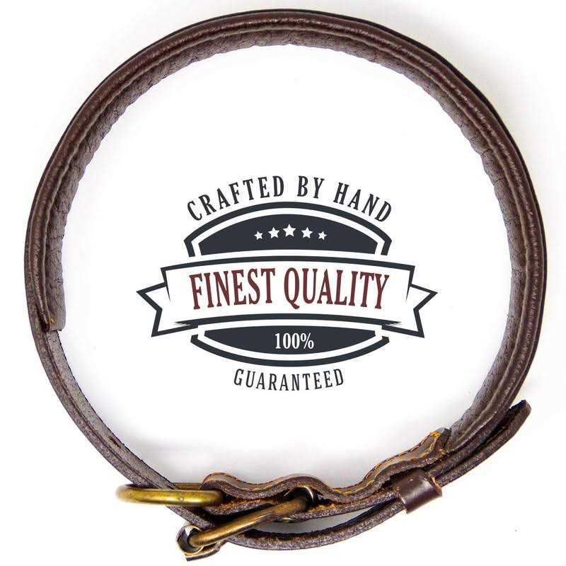 Padded Full Grain Genuine Leather Dog Collar P447992