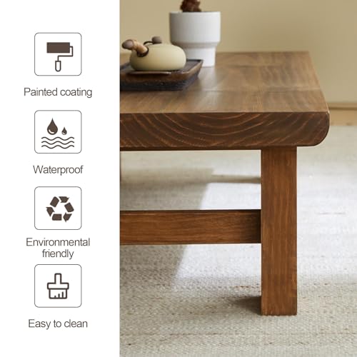 Solid Wood Low Coffee Table (100cm) X902