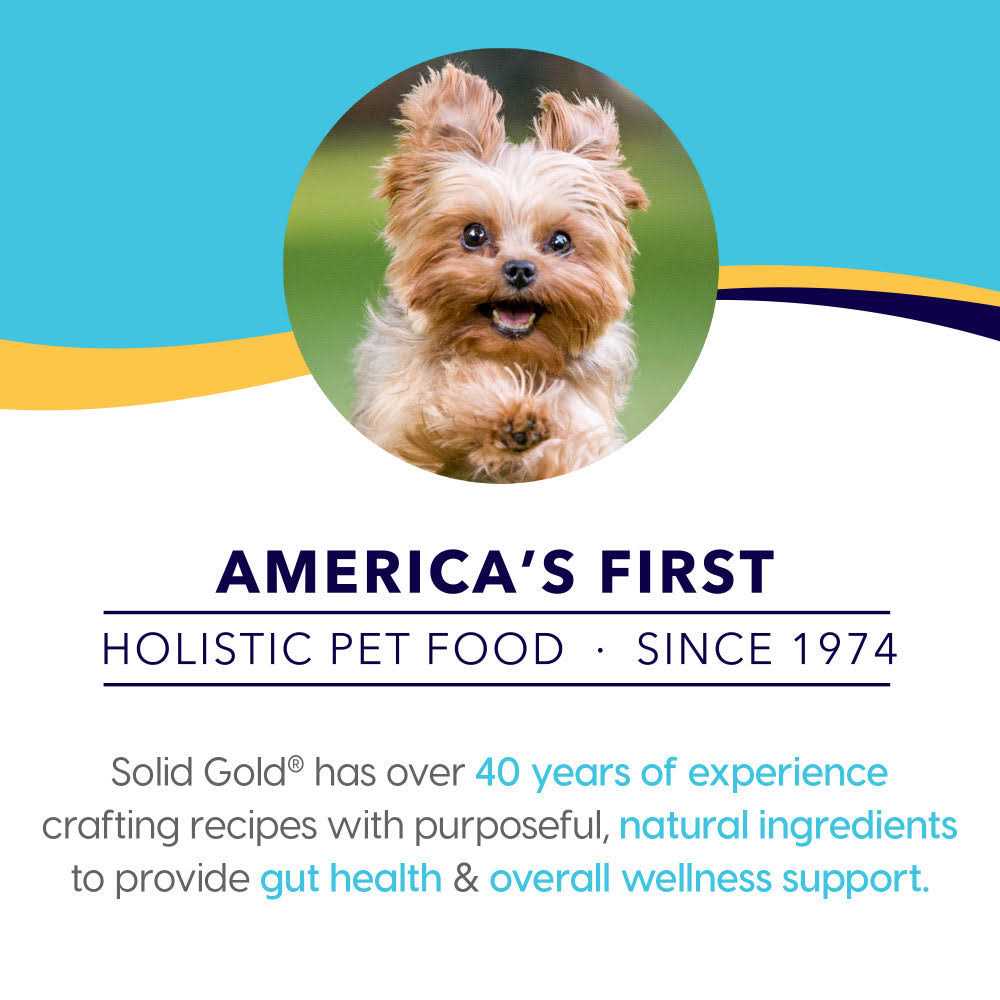 Solid Gold Small Breed Dry Dog Food S34781