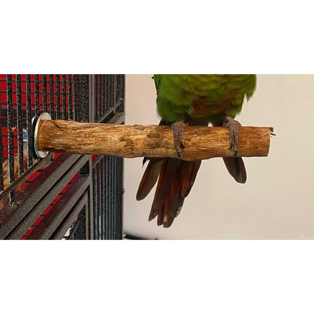 Hardwood Bird Perch H2982