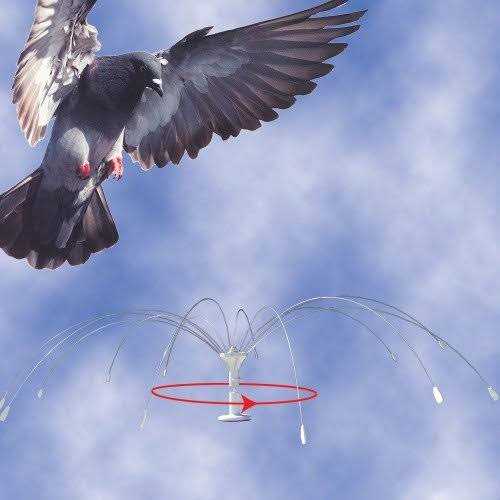 Bird Spider 360 Stainless Steel R267454