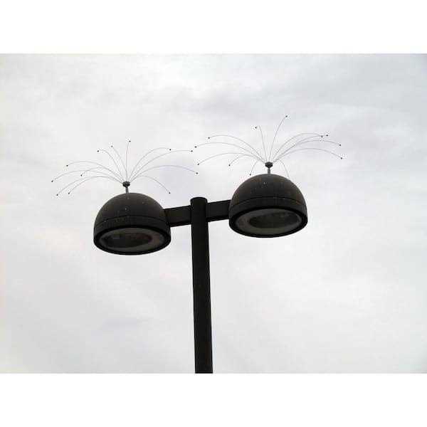 Bird Spider 360 Stainless Steel R267454