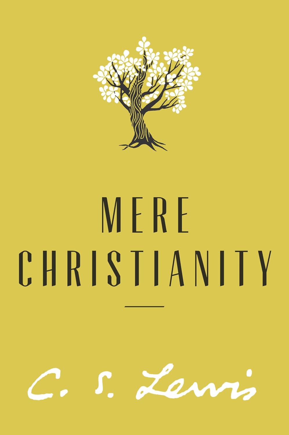 Mere Christianity V5689