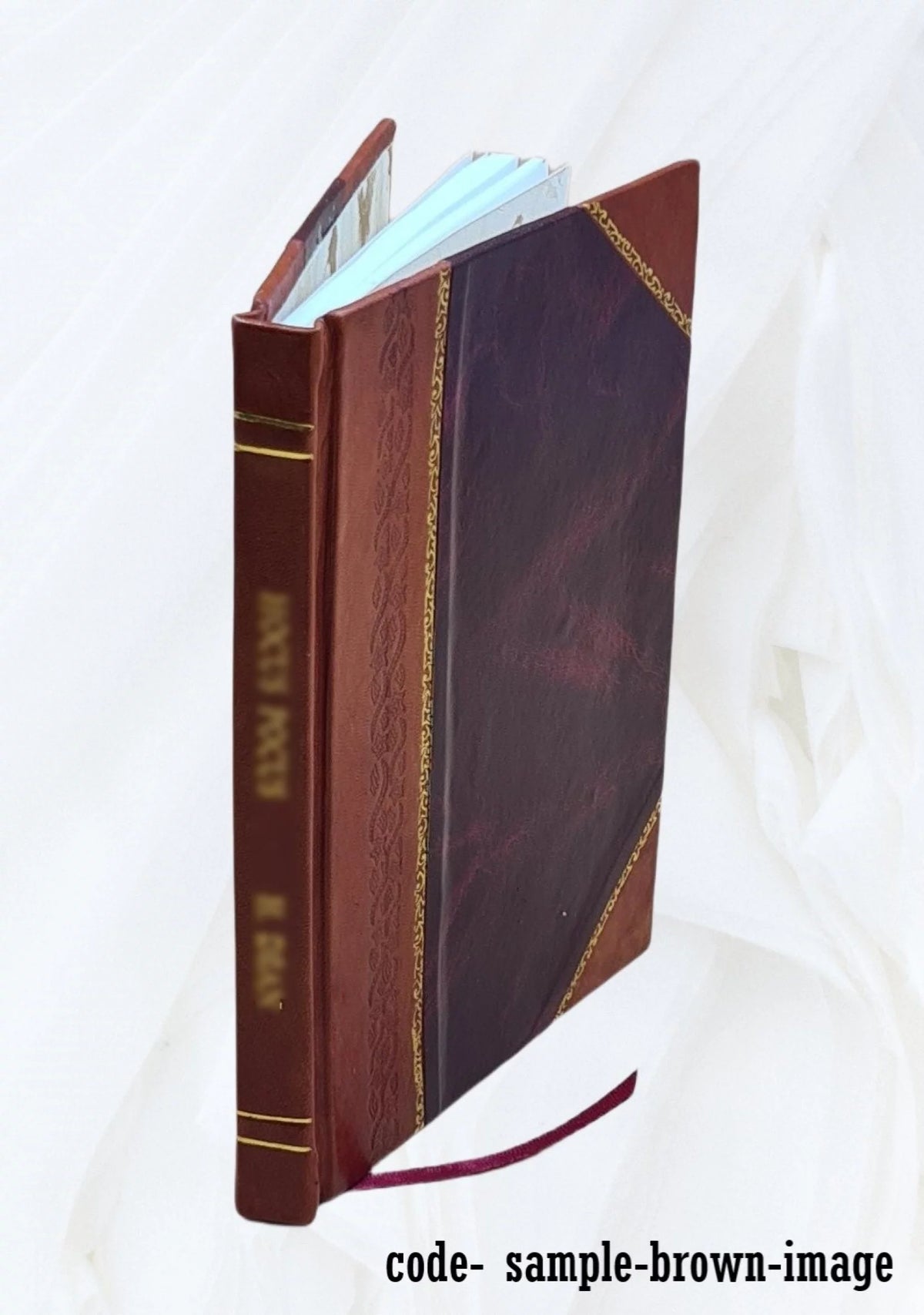 Home Economics Storage Equipment Leather Bound Y837903
