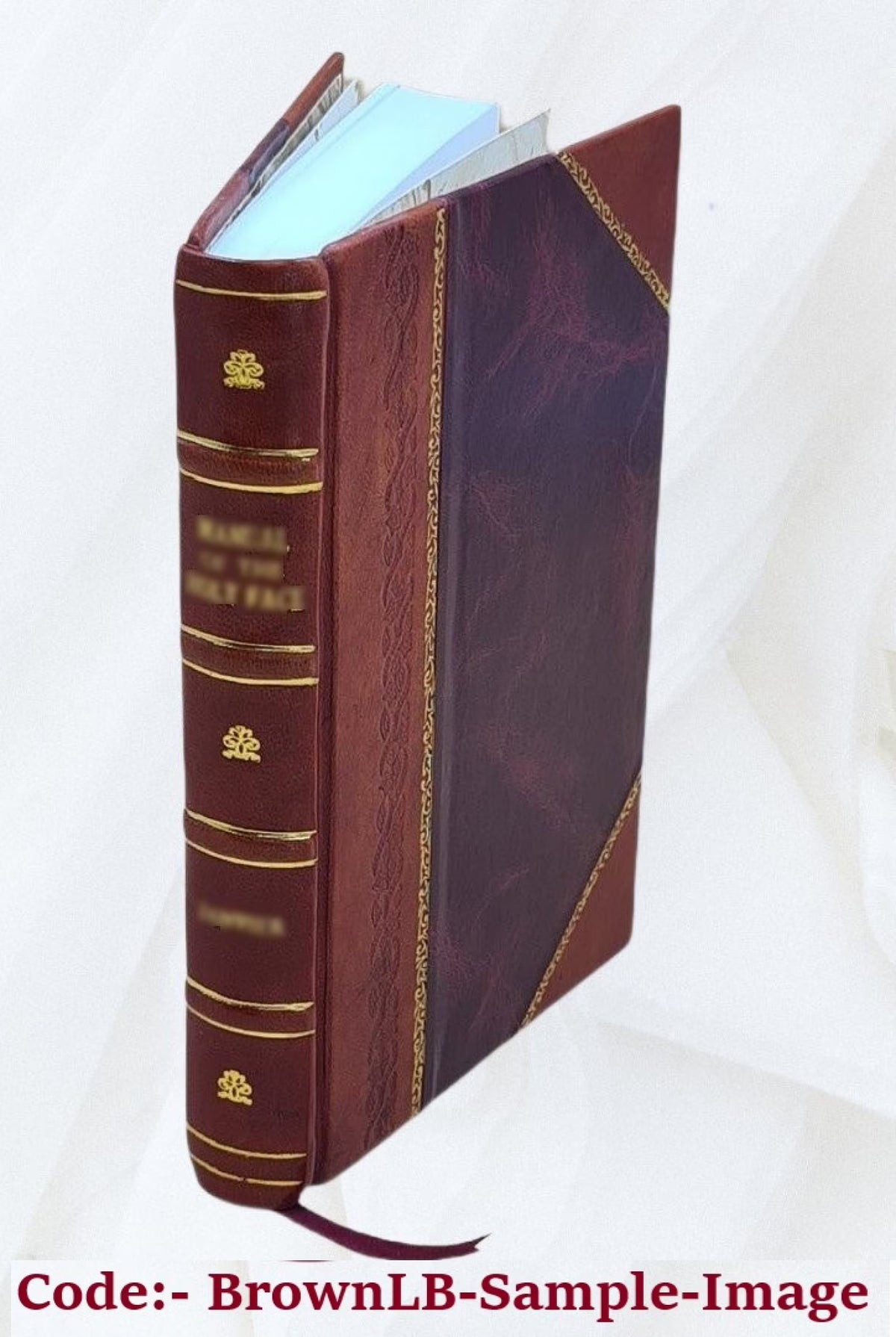 Leather Bound Book V415325