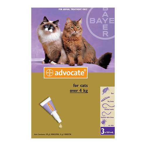 Large Cat P140