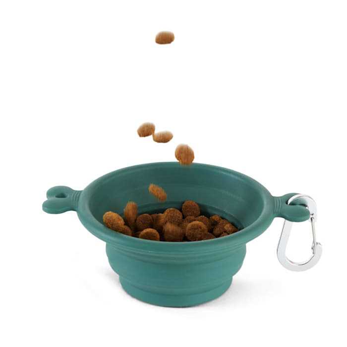Collapsible Bowl for Dogs J994