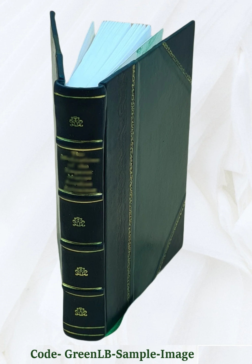 Leather Bound Book B537