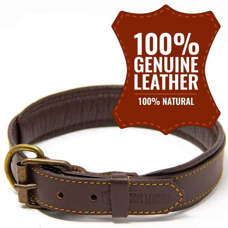 Padded Full Grain Genuine Leather Dog Collar P447992