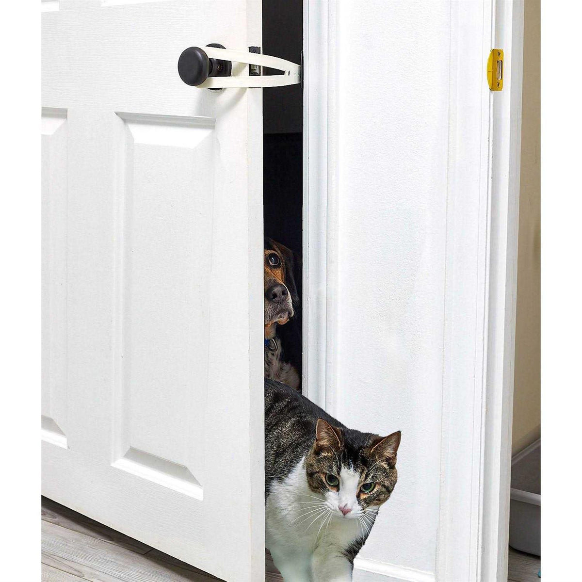 Cat Door Holder N9286