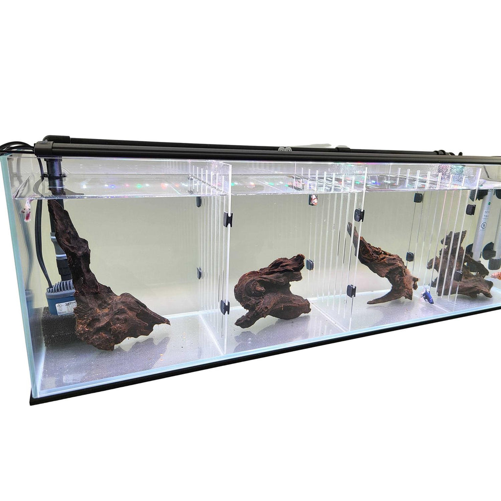 Acrylic Aquarium F810