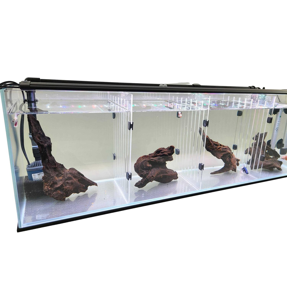 Acrylic Aquarium F810