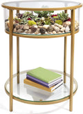 Round Terrarium Display End Table with Reinforced Glass M29717