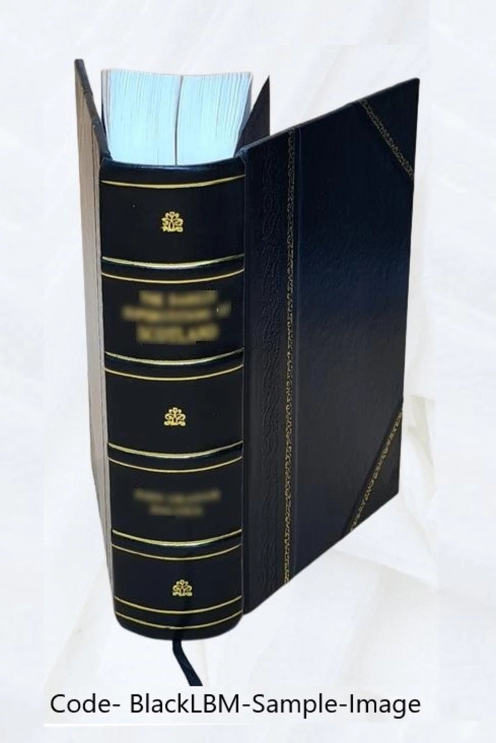 Therapeutics Handbook R76187