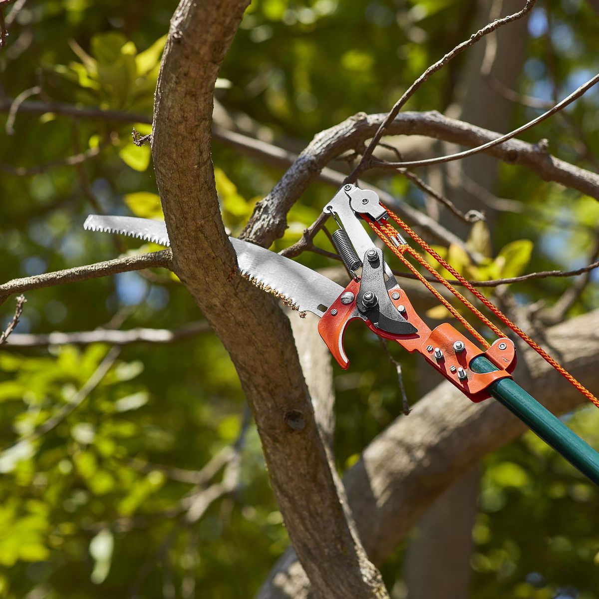 Tree Pruner L1158