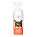 Pet Training Deterrent Spray Bottle N741289