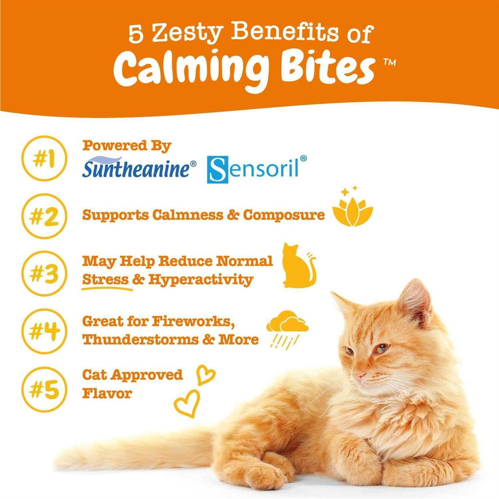 Calming Bites for Cats P56824