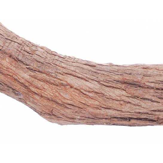 Hardwood Bird Perch H2982