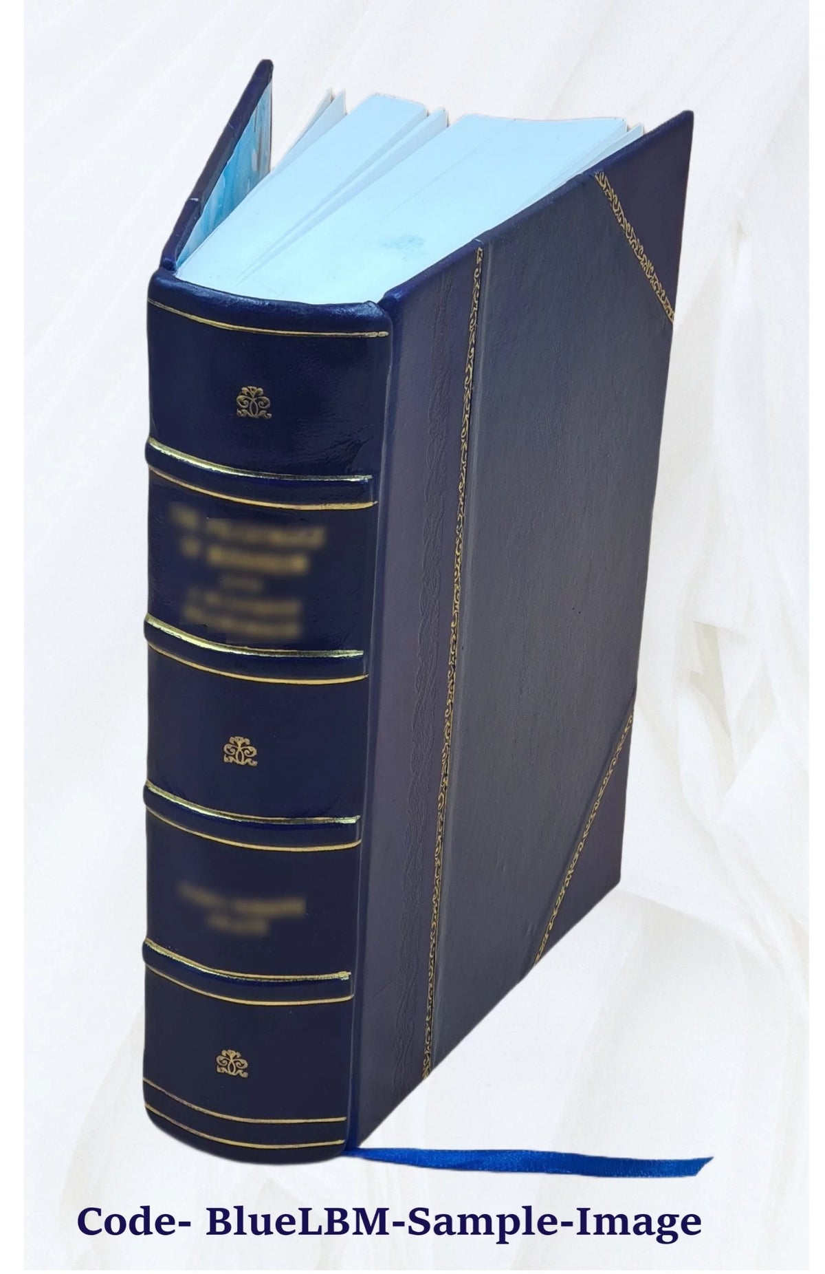 Leather Bound Book E1685