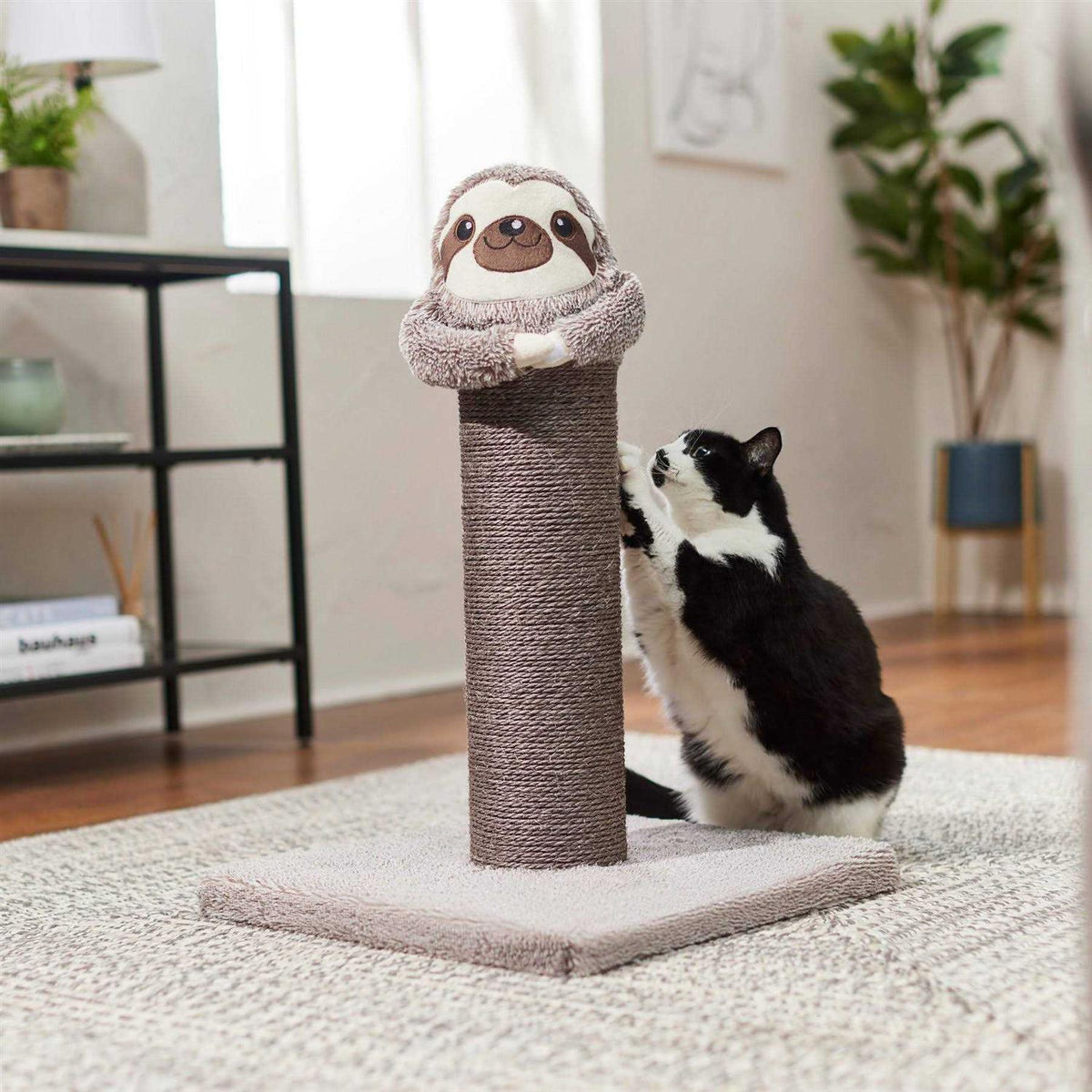 Cat Scratching Post D164048