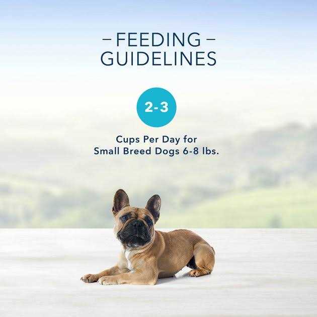 Rotisserie Chicken in Gravy Dog Food Cup 3.5-oz O709451