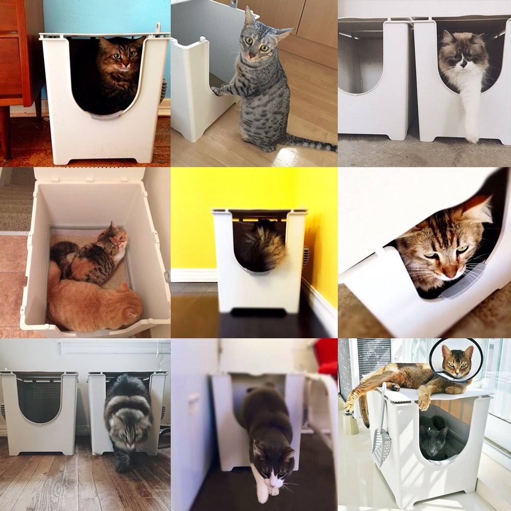 Cat Litter Box I848578
