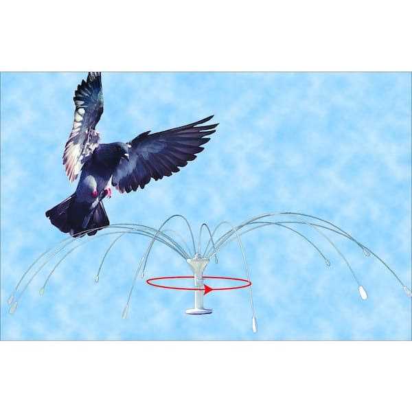 Bird Spider 360 Stainless Steel R267454