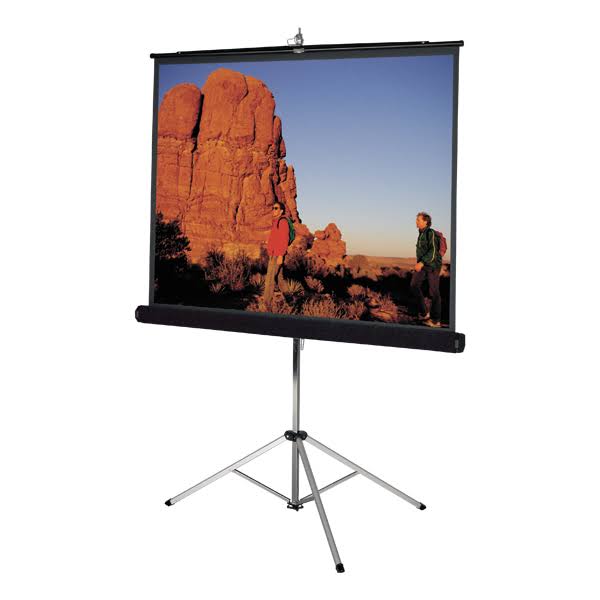 Black Carpeted Matte White Projector Screen L3864