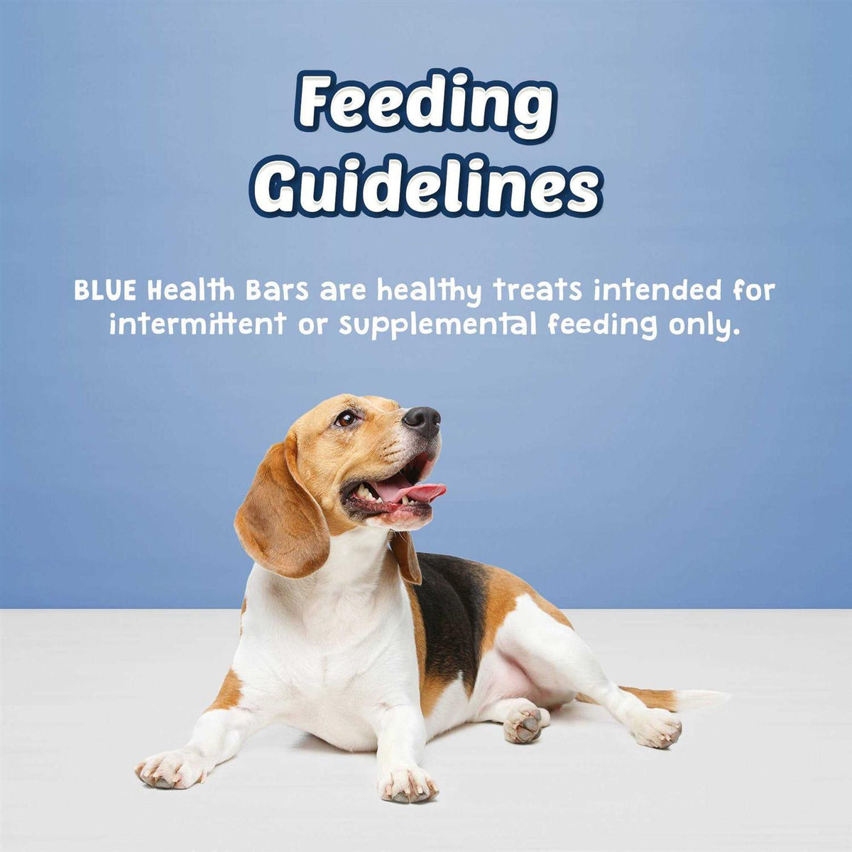 Dog Biscuits O263