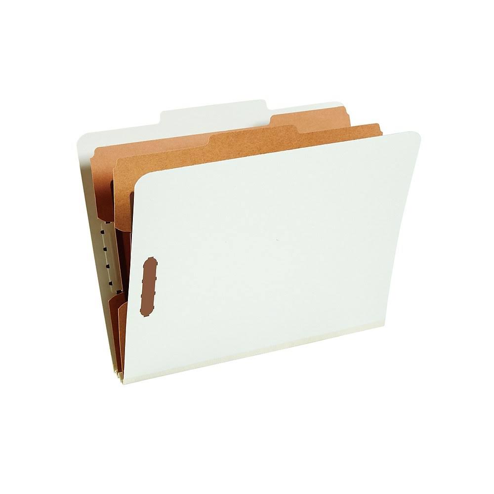Classification Folder, 2-Dividers, 2 Boxes T55961