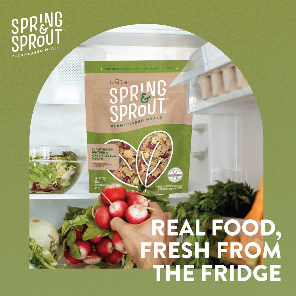 Plant-Based Protein & Cage-Free Egg Recipe Dog Food O1596