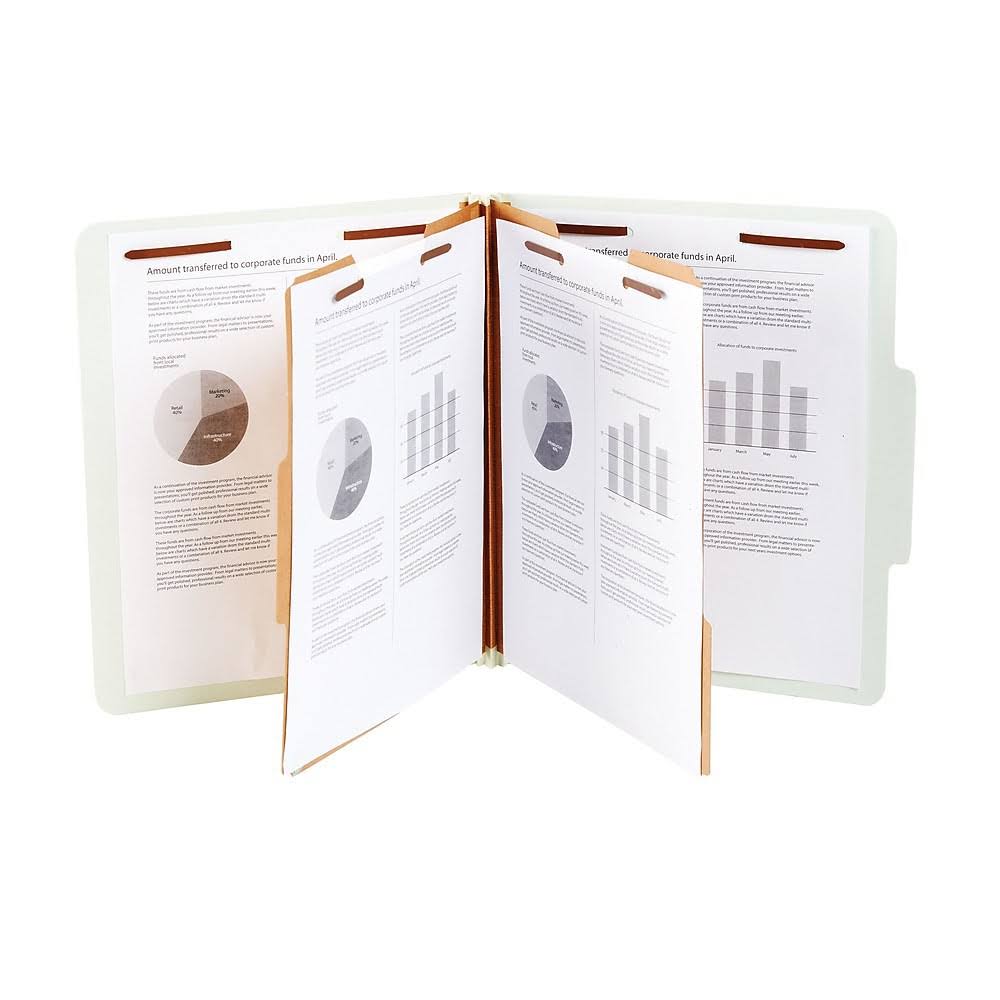 Classification Folder, 2-Dividers, 2 Boxes T55961