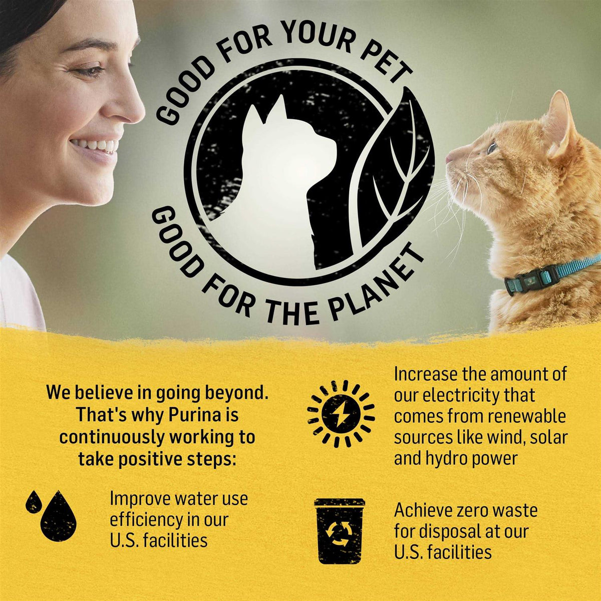 Cat Dry Food B1958
