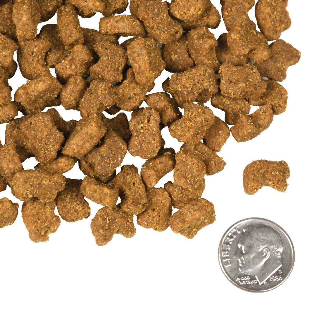 Lamb & Lentil Dog Food D68749