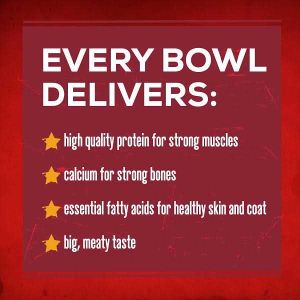 Savory Beef Dry Dog Food V33940