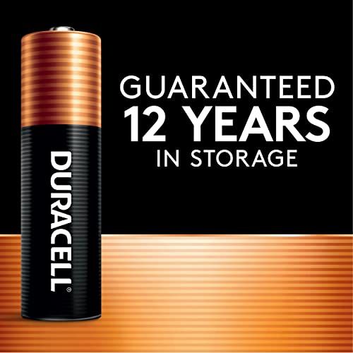AA AAA Alkaline Batteries Combo Pack 48 Count N18582