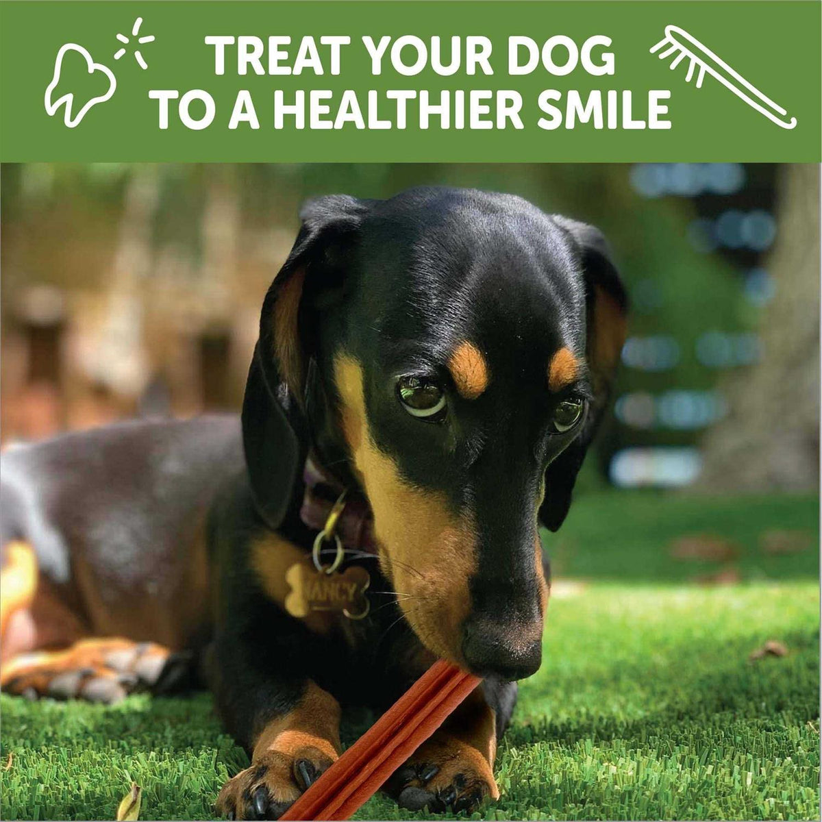 Dental Stix L92579