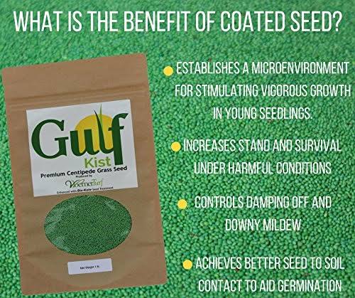 Centipede Grass Seed 1 lb Coated Seeds C578991