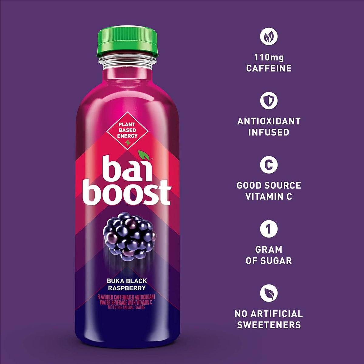 Black Raspberry Beverage, 18 fl oz (Pack of 6) I3018