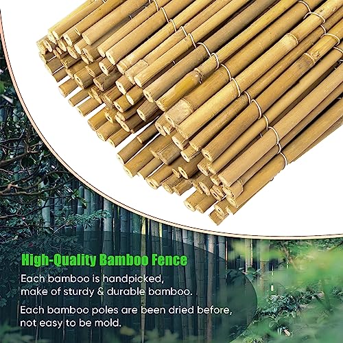 6ft x 8ft x 0.4" Natural Bamboo Fence Rolled Bamboo Fencing H771