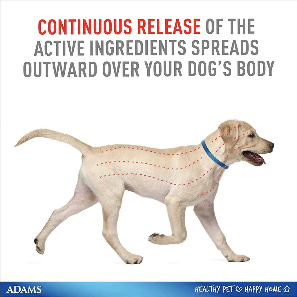 Flea & Tick Collar for Dogs I33021