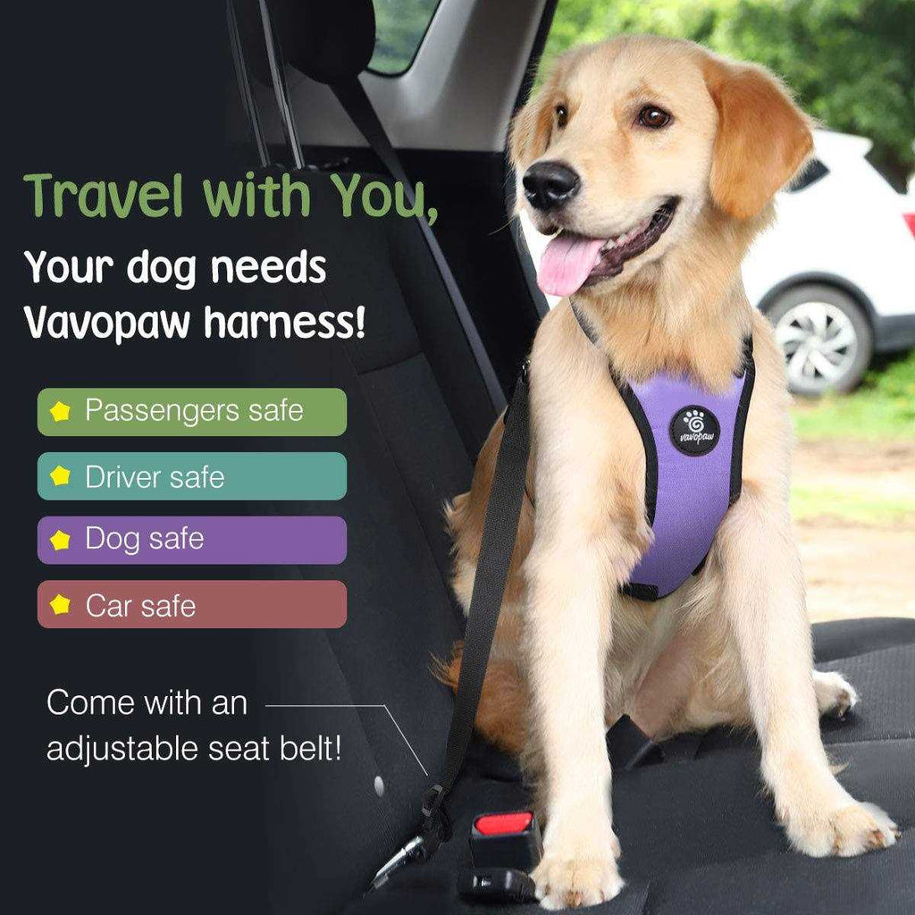 Adjustable Padded Mesh Dog Safety Vest Harness P3203