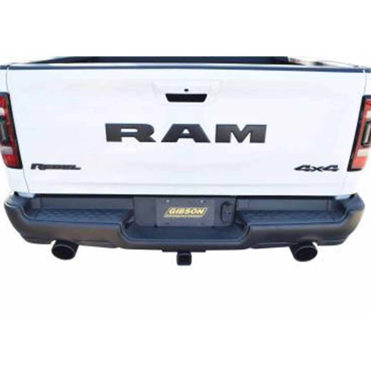 Stainless Cat-Back Dual Exhaust System R3254