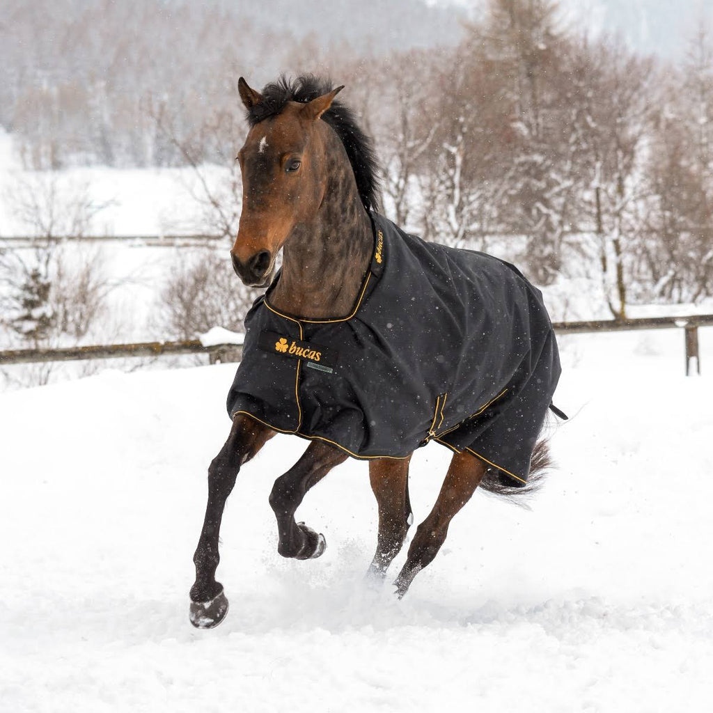 183 Black / Gold Light Turnout D89476