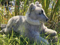Grey Wolf Plush Stuffed Animal J245