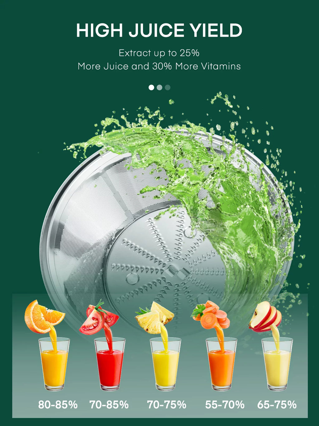 Juicer Machines Vegetable and Fruit with 3-Speed Setting 400W Motor L832323
