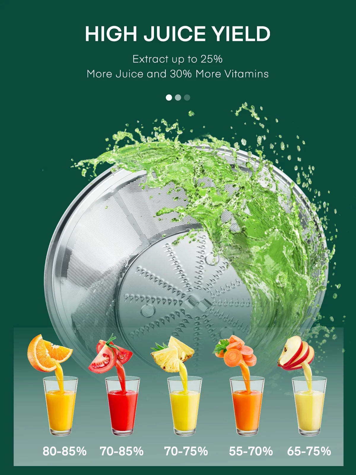Juicer Machines Vegetable and Fruit with 3-Speed Setting 400W Motor L832323