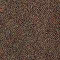 Black Tan Multi 24 in. x 24 in. Modular Carpet Tile Kit B1751