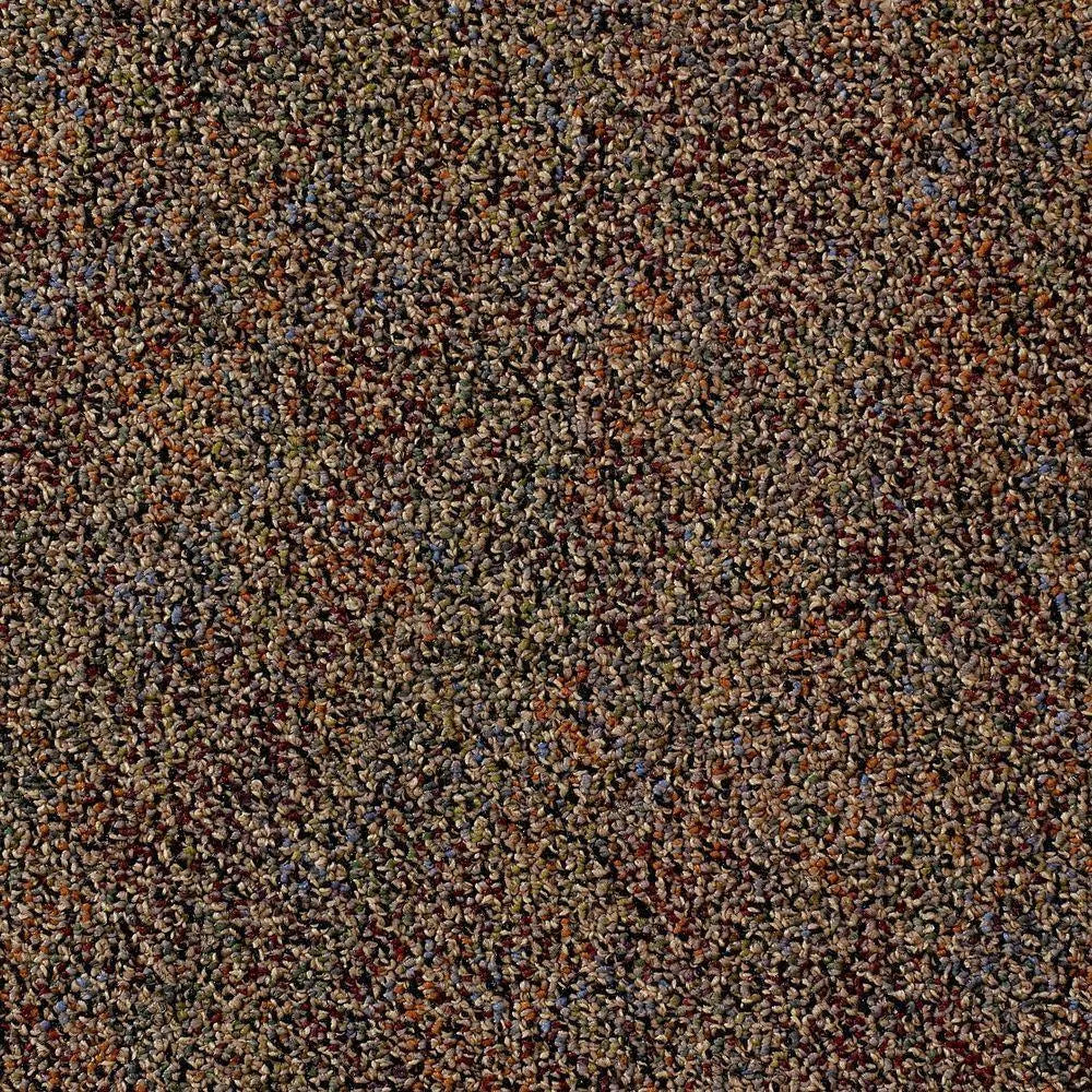 Black Tan Multi 24 in. x 24 in. Modular Carpet Tile Kit B1751